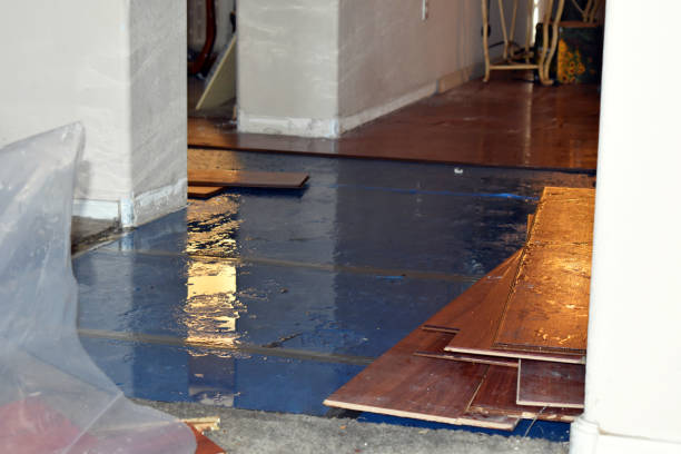 Professional Basement Flooding technician working in Westport Point, MA
